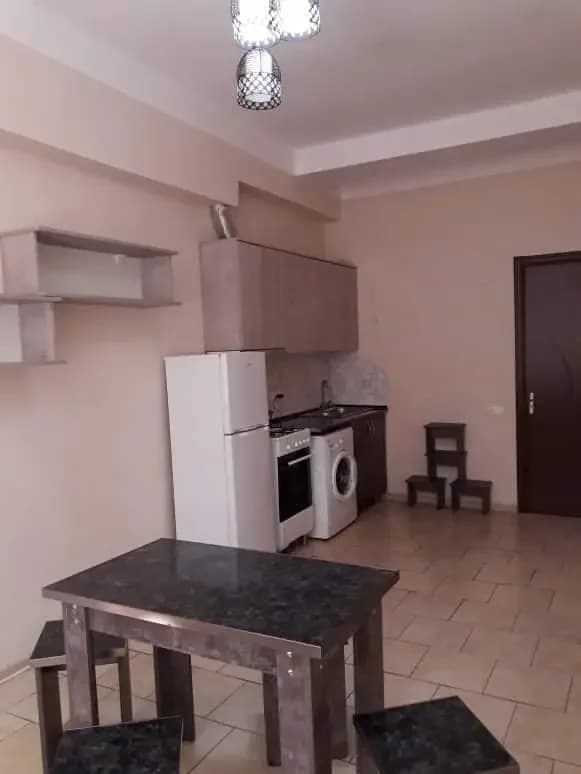 ქირავდება 3 ოთახიანი ბინა ბაგებში (ფოტო 5)