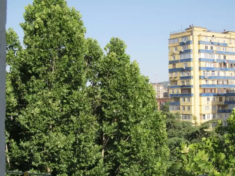 ქირავდება 1 ოთახიანი ბინა კიკეთში (ფოტო 5)